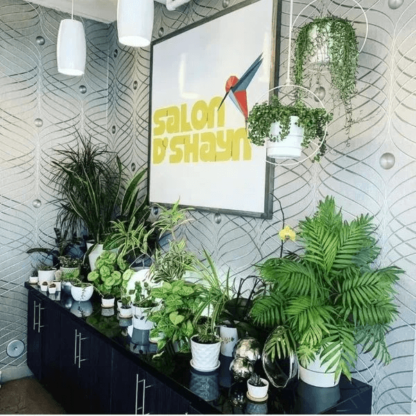 Salon D' Shayn