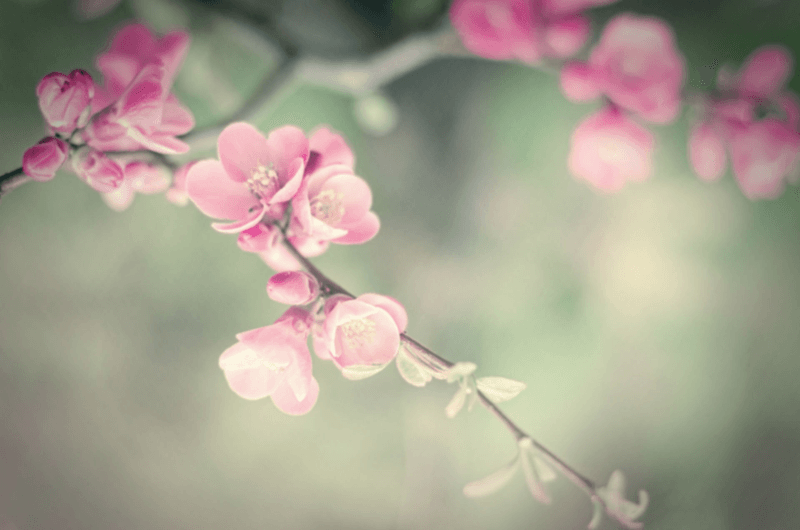 Salt Lake City Botox and Fillers