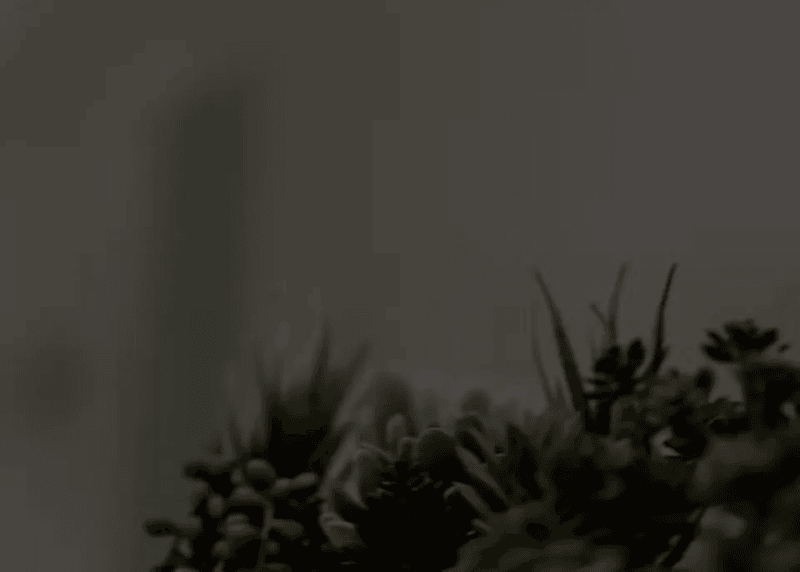 Santa Fe Skin Vitality