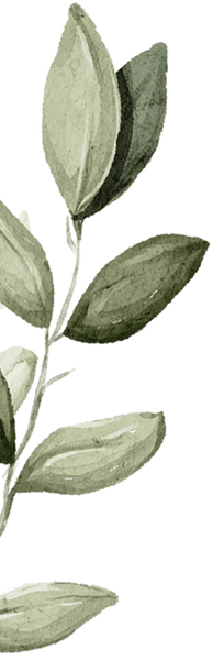 Serene Moments MedSpa