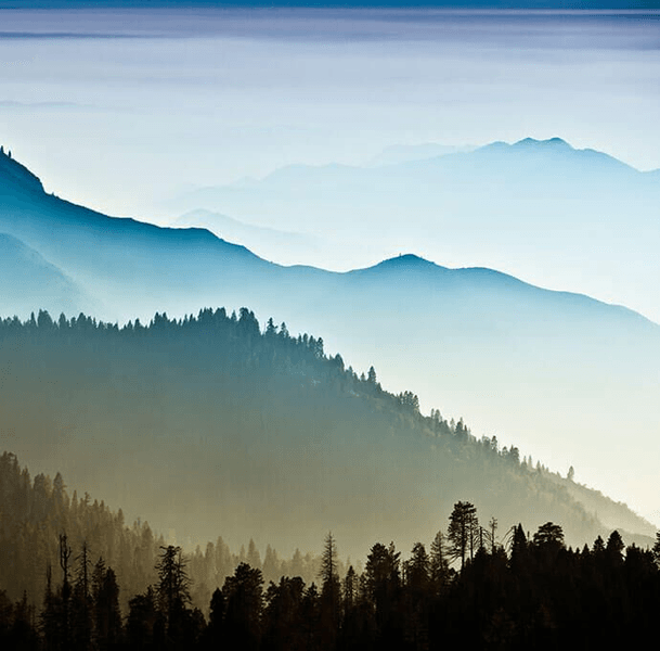 Sierra Nevada Cosmetic & Laser Surgery