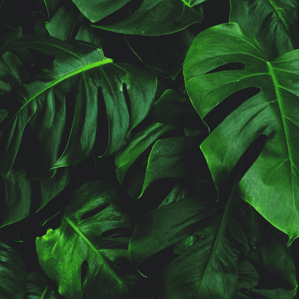 Skin and Soul Beauty