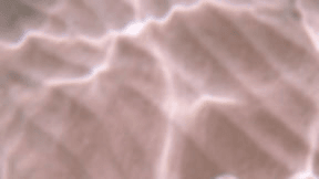 Skin Rehab Aesthetics