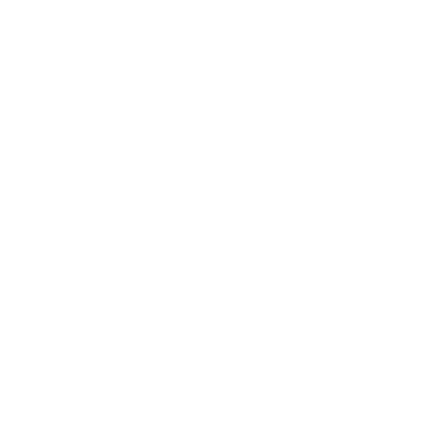 SkinVibes