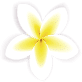 Spa' Mazing Beauty & Wellness