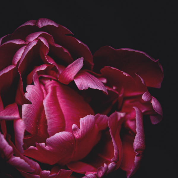 Studio 41 Beauty Bar & Laser Co