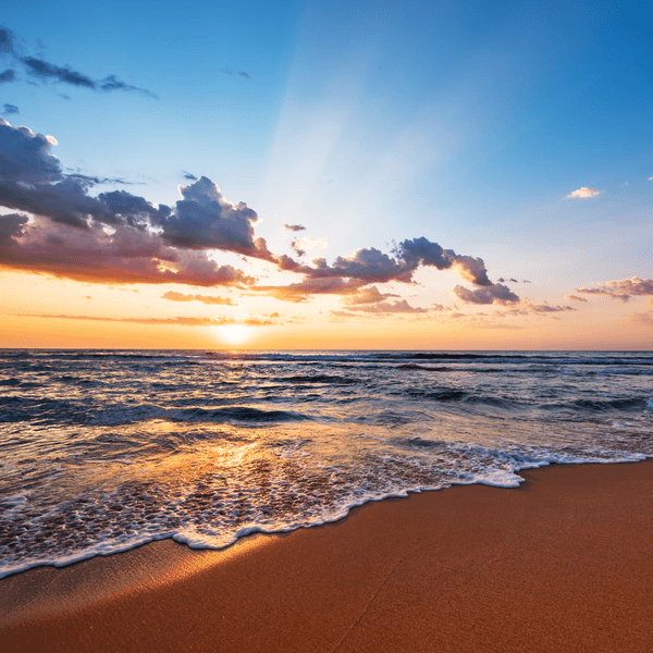 Tatiana Lee-chee Do (os8824)