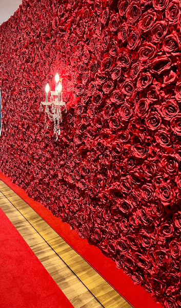 The Aesthetic Lounge