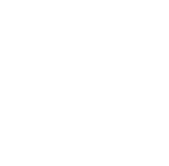 The Salt Box