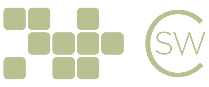 The Skin Wellness Center