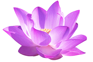 Upmc Western Maryland