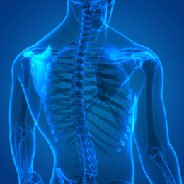 Vein and Laser Institute