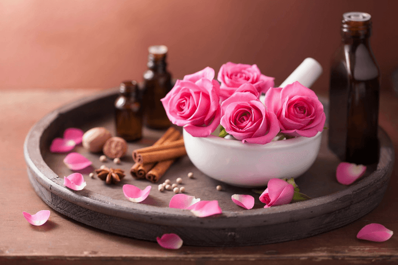 Violeta's Organic Spa