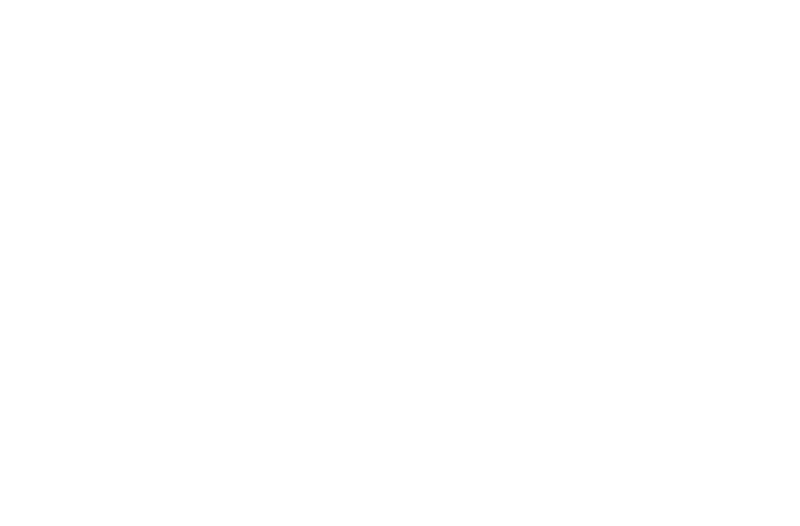 Vital Aesthetics Of Louisiana