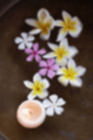 Vivian Clinical Day Spa