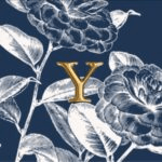 Youthology One O One